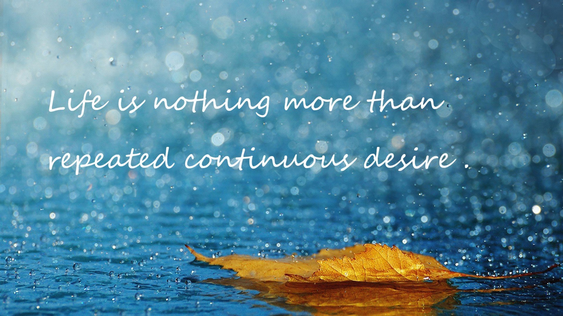 独家｜慈善魔术，东契奇亿元罚球背后的真实对决