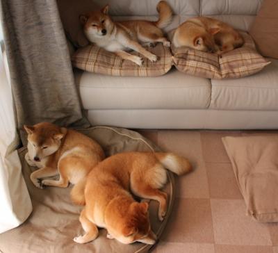 华体会网址-跨越时空的绝杀，当切特接管欧冠，湖人上演逆转好戏